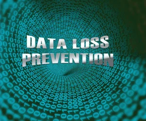 Even in the New Storage Economy, Data Loss is Not an Option!